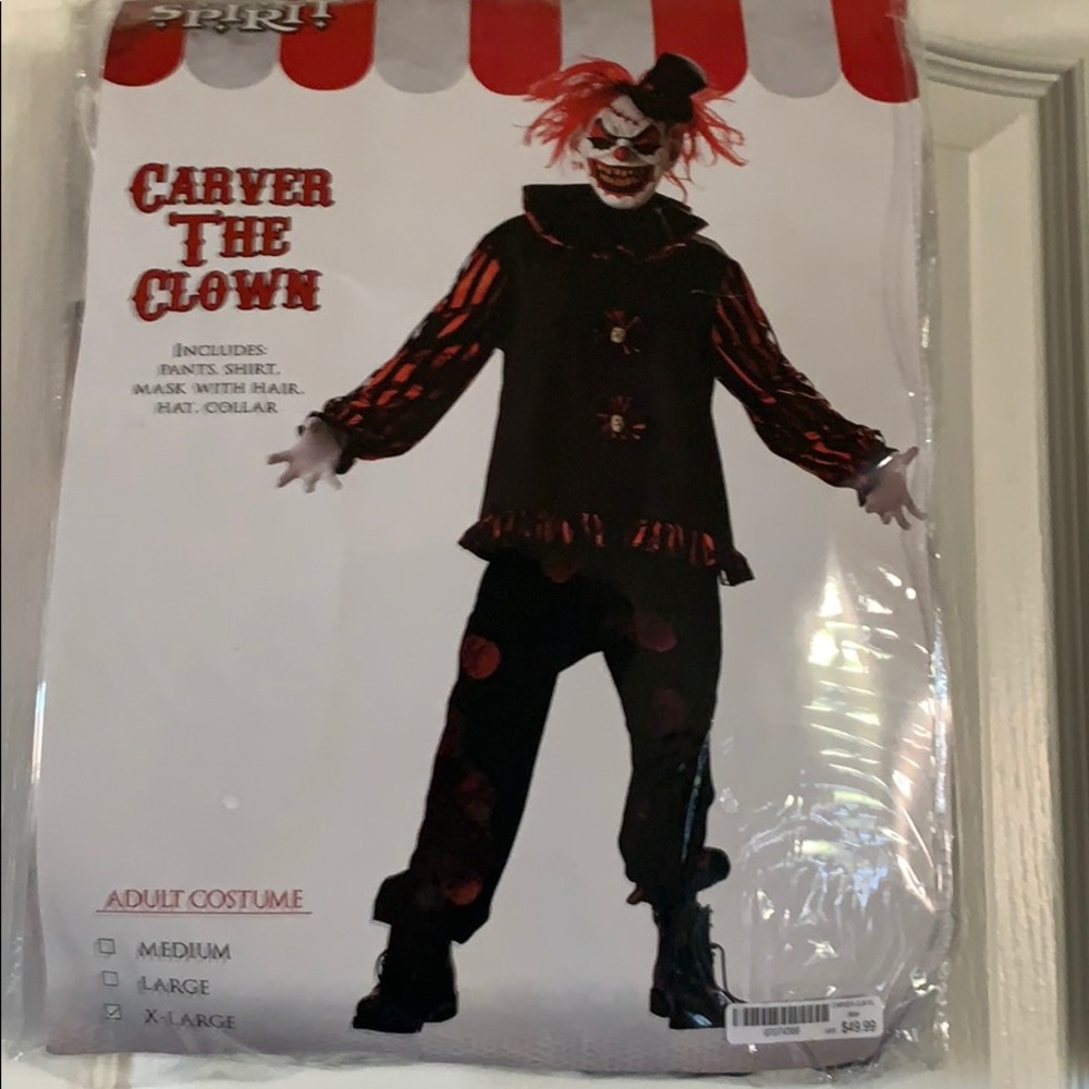 Adult male costume